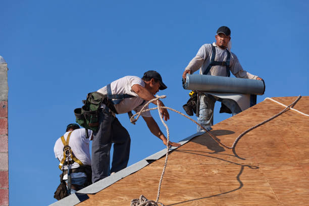 Best Roof Gutter Cleaning  in Kibler, AR